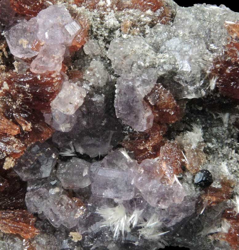 Rmerite, Coquimbite, Halotrichite, Voltaite from Dexter No. 7 Mine, San Rafael Swell, Emery County, Utah