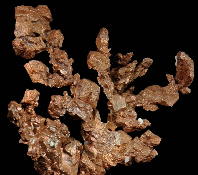 Copper (crystallized) from Itauz Mine, Karaganda Oblast', Kazakhstan