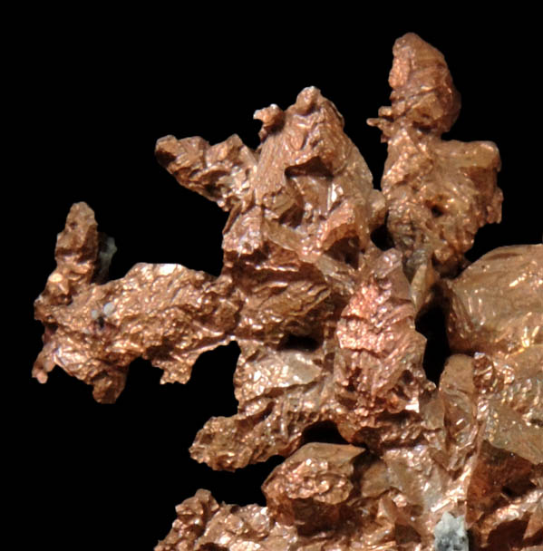 Copper (crystallized) from Itauz Mine, Karaganda Oblast', Kazakhstan