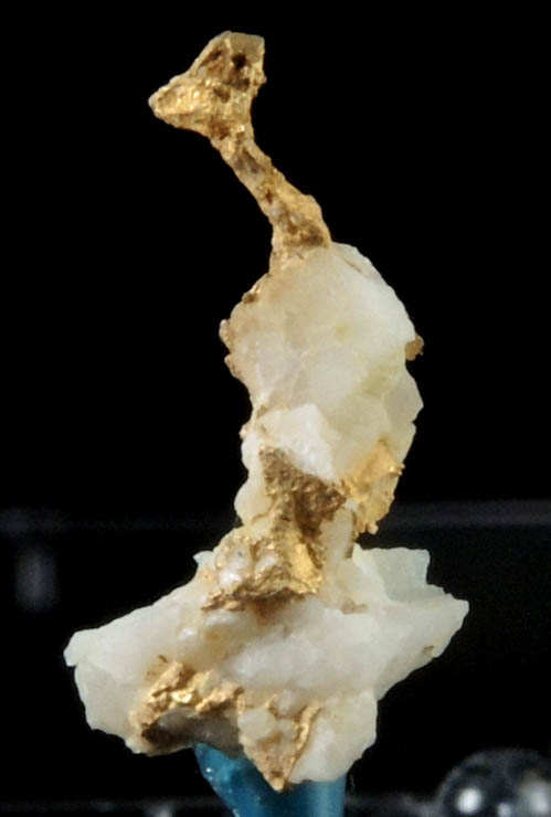 Gold on Quartz from Jamestown Mining District, Tuolumne County, California