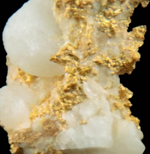 Gold in Quartz from Jamestown Mining District, Tuolumne County, California