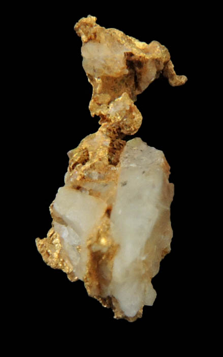 Gold in Quartz from Jamestown Mining District, Tuolumne County, California