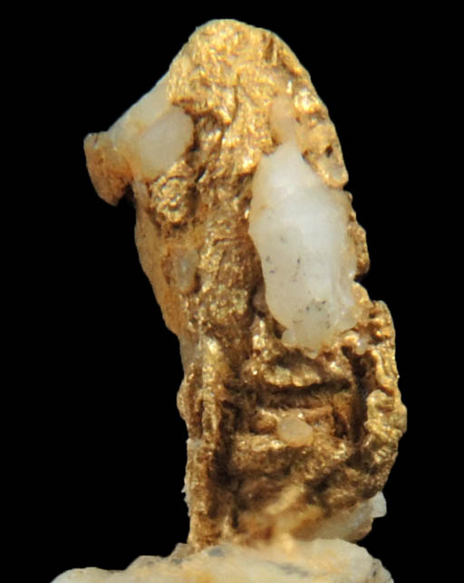 Gold on Quartz from Jamestown Mining District, Tuolumne County, California