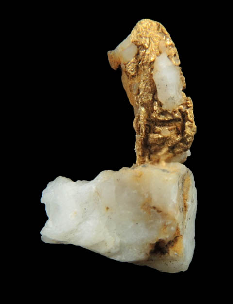 Gold on Quartz from Jamestown Mining District, Tuolumne County, California