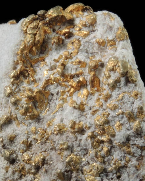 Gold on Quartz from Boulder County, Colorado