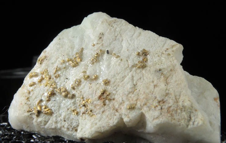 Gold on Quartz (Fake) from Sixteen-To-One Mine (16 to 1 Mine), Alleghany, 35 km NE of Grass Valley, Sierra County, California