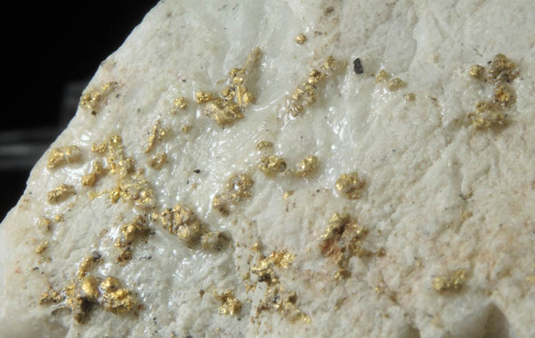 Gold on Quartz (Fake) from Sixteen-To-One Mine (16 to 1 Mine), Alleghany, 35 km NE of Grass Valley, Sierra County, California