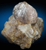 Lepidolite var. Ball Lepidolite on Quartz from Brown Derby Mine, Quartz Creek District, 12.3 km SW of Pitkin, Gunnison County, Colorado