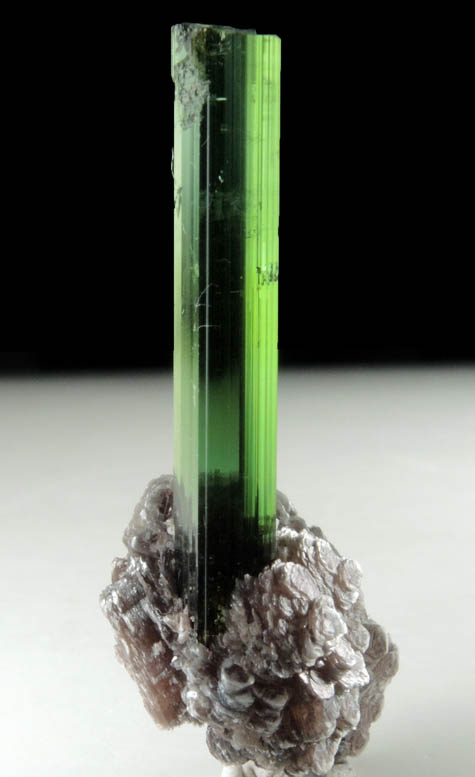 Elbaite Tourmaline on Lepidolite from Minas Gerais, Brazil