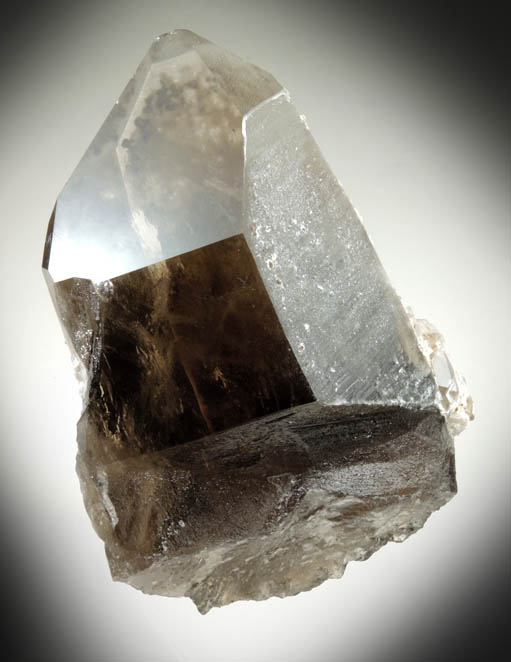 Quartz var. Smoky Quartz with Albite overgrowth from North Moat Mountain, Bartlett, Carroll County, New Hampshire