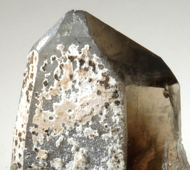Quartz var. Smoky Quartz with Albite overgrowth from North Moat Mountain, Bartlett, Carroll County, New Hampshire