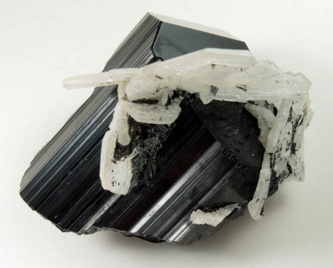 Schorl Tourmaline with Albite var. Cleavelandite from Skardu District, Baltistan, Gilgit-Baltistan, Pakistan