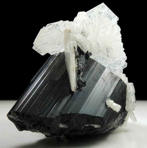 Schorl Tourmaline with Albite var. Cleavelandite from Skardu District, Baltistan, Gilgit-Baltistan, Pakistan