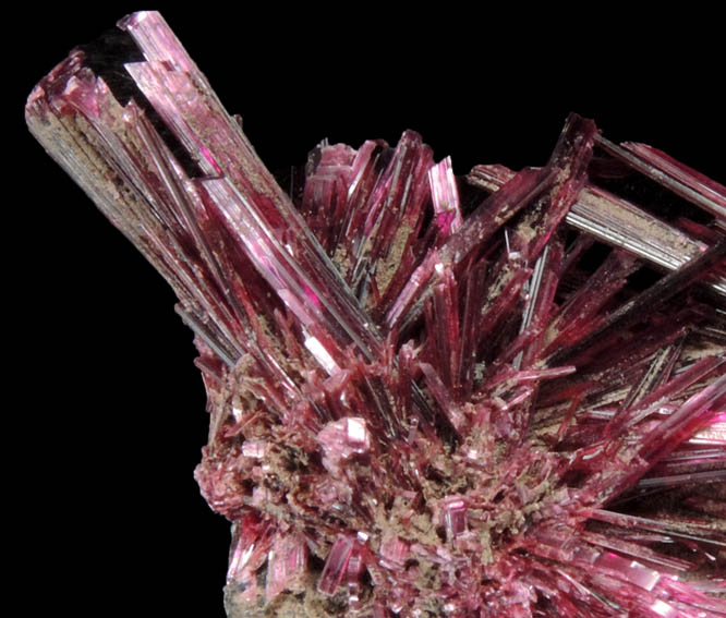 Erythrite on Quartz from Bou Azzer District, Anti-Atlas Mountains, Tazenakht, Ouarzazate, Morocco (Type Locality for Erythrite)