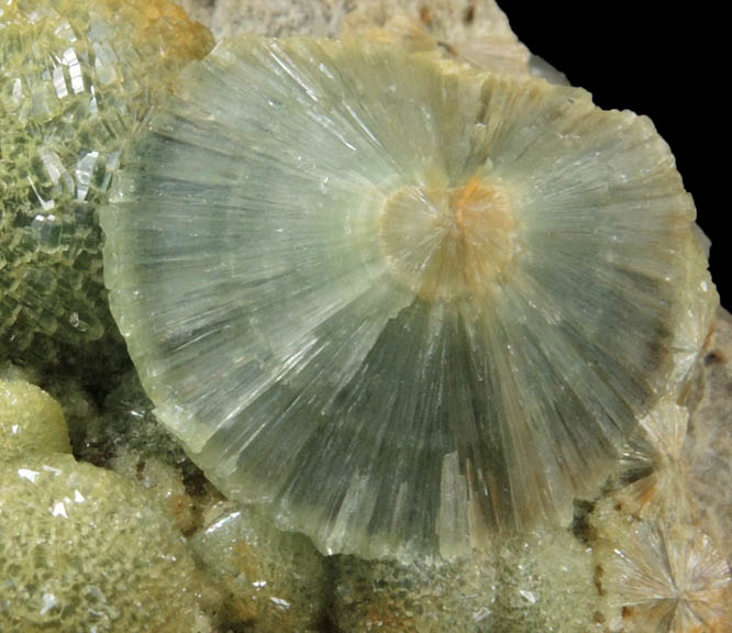 Wavellite from Mauldin Mountain, Montgomery County, Arkansas