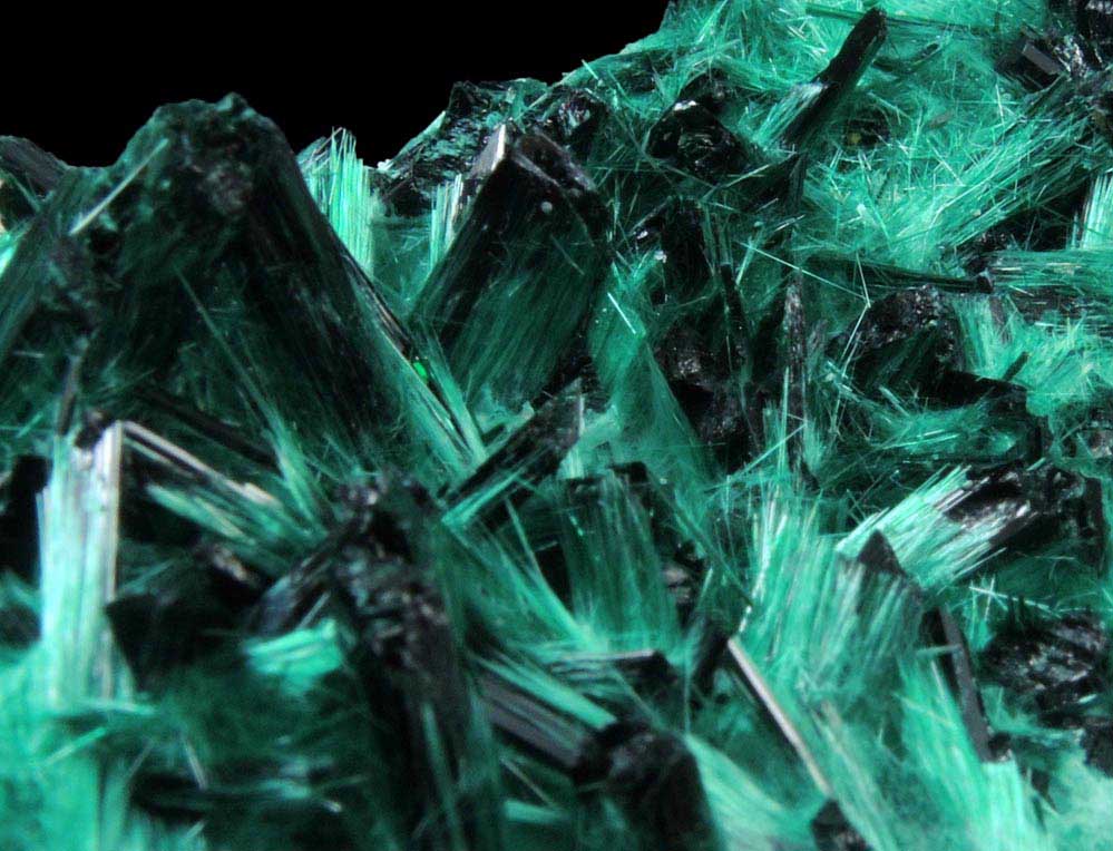 Brochantite from Milpillas Mine, Cuitaca, Sonora, Mexico