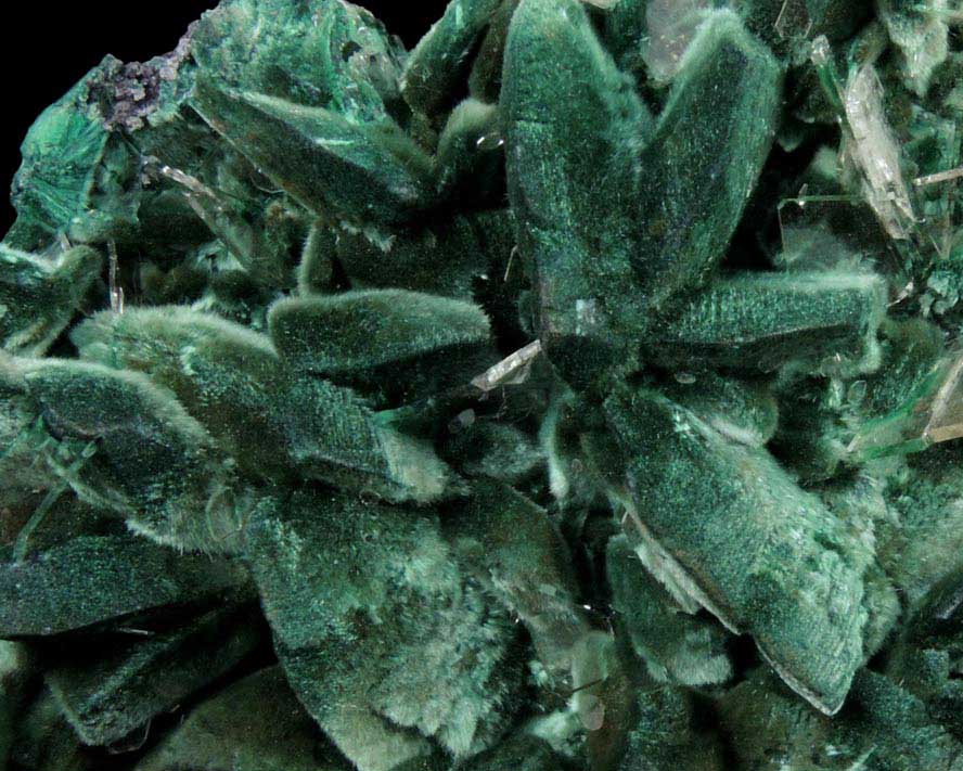 Malachite pseudomorphs after Azurite with Barite from Milpillas Mine, Cuitaca, Sonora, Mexico