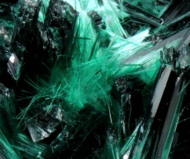 Brochantite from Milpillas Mine, Cuitaca, Sonora, Mexico