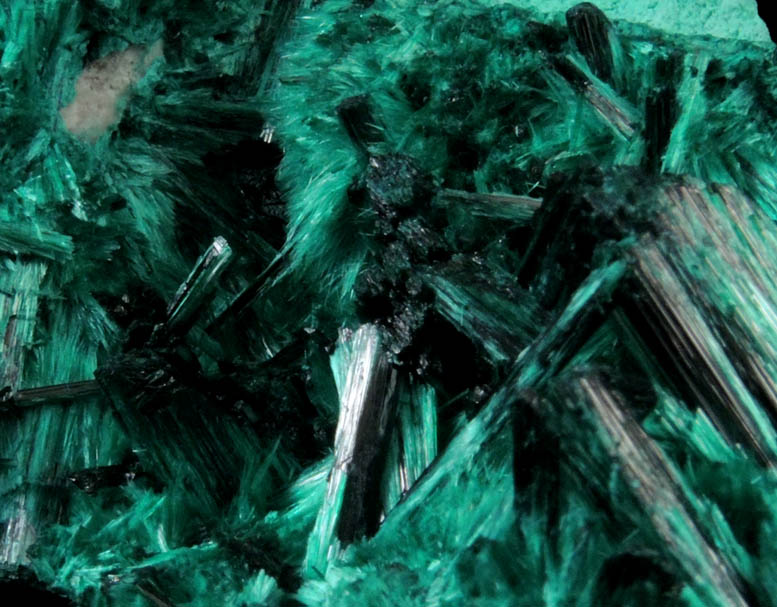 Brochantite from Milpillas Mine, Cuitaca, Sonora, Mexico