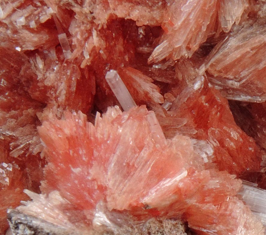 Inesite with Natrolite from N'Chwaning II Mine, Kalahari Manganese Field, Northern Cape Province, South Africa