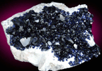 Azurite from Milpillas Mine, Cuitaca, Sonora, Mexico