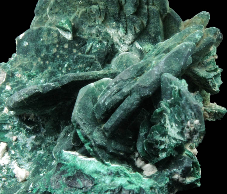 Chalcocite pseudomorphs after Azurite coated with Malachite from Milpillas Mine, Cuitaca, Sonora, Mexico