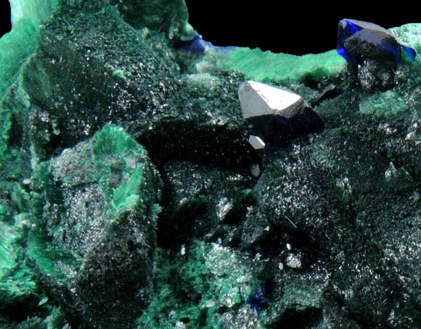 Azurite on Malachite pseudomorphs after Azurite from Milpillas Mine, Cuitaca, Sonora, Mexico
