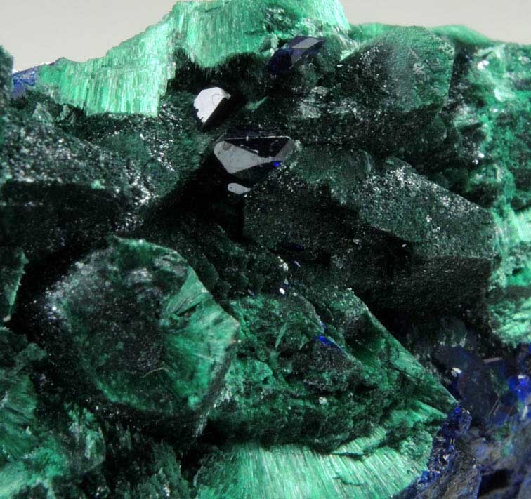 Azurite on Malachite pseudomorphs after Azurite from Milpillas Mine, Cuitaca, Sonora, Mexico