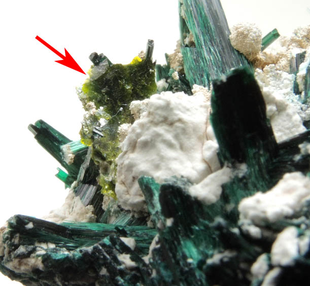 Volborthite and Brochantite from Milpillas Mine, Cuitaca, Sonora, Mexico