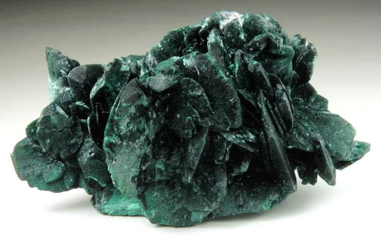 Malachite pseudomorphs after Azurite from Milpillas Mine, Cuitaca, Sonora, Mexico