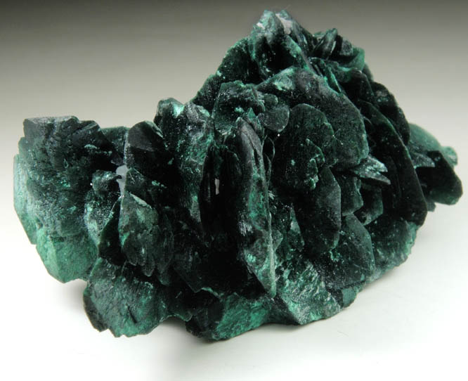 Malachite pseudomorphs after Azurite from Milpillas Mine, Cuitaca, Sonora, Mexico