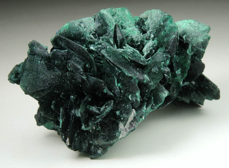 Malachite pseudomorphs after Azurite from Milpillas Mine, Cuitaca, Sonora, Mexico