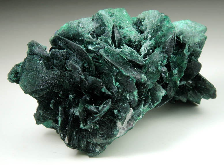 Malachite pseudomorphs after Azurite from Milpillas Mine, Cuitaca, Sonora, Mexico