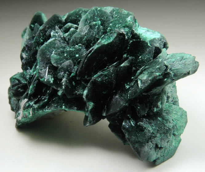 Malachite pseudomorphs after Azurite from Milpillas Mine, Cuitaca, Sonora, Mexico