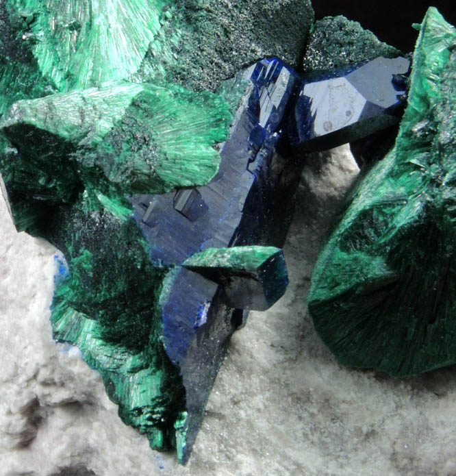 Azurite and Malachite pseudomorphs after Azurite from Milpillas Mine, Cuitaca, Sonora, Mexico