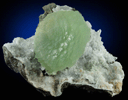 Prehnite on Quartz from Goboboseb Mountains, 43 km west of Brandberg Mountain, Erongo region, Namibia