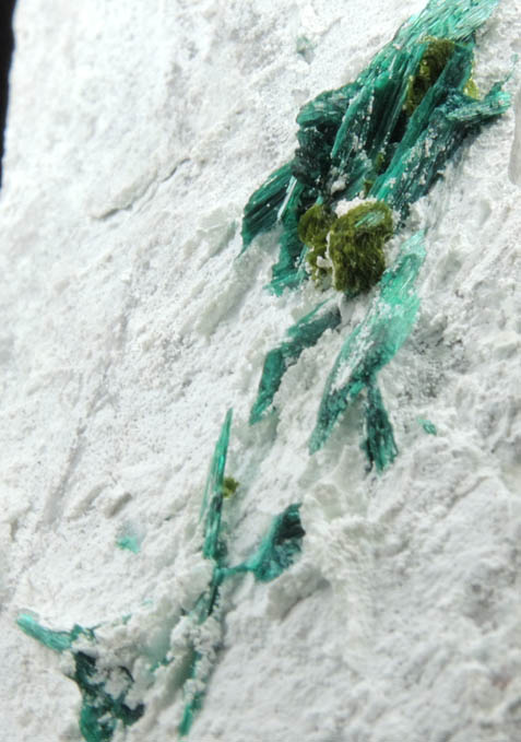 Volborthite with Brochantite from Milpillas Mine, Cuitaca, Sonora, Mexico