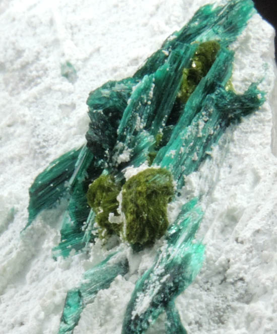 Volborthite with Brochantite from Milpillas Mine, Cuitaca, Sonora, Mexico