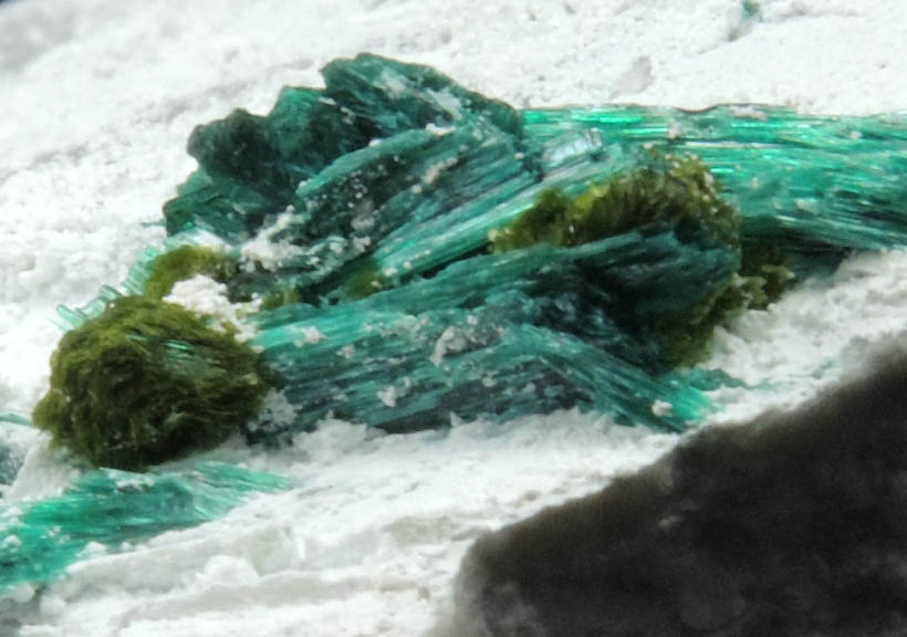 Volborthite with Brochantite from Milpillas Mine, Cuitaca, Sonora, Mexico