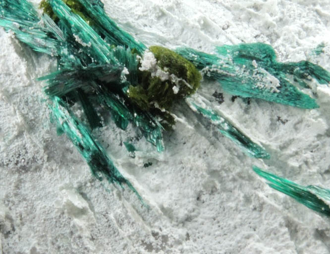 Volborthite with Brochantite from Milpillas Mine, Cuitaca, Sonora, Mexico