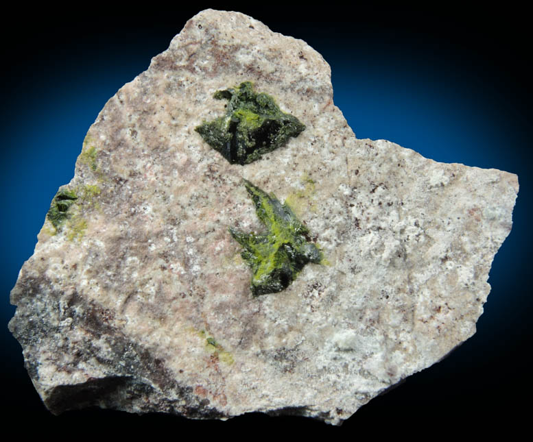 Volborthite from Milpillas Mine, Cuitaca, Sonora, Mexico