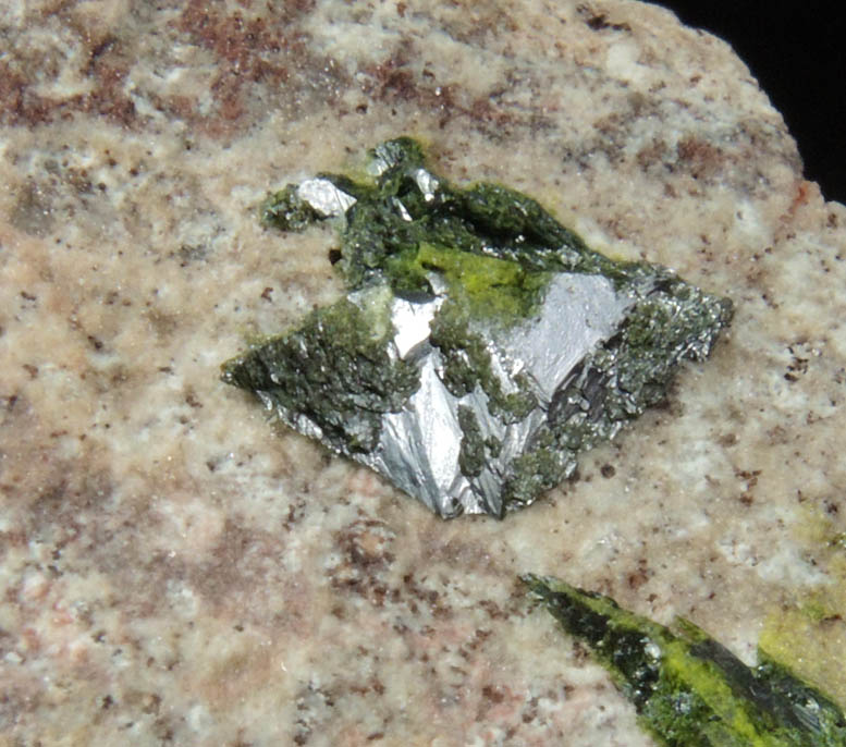 Volborthite from Milpillas Mine, Cuitaca, Sonora, Mexico