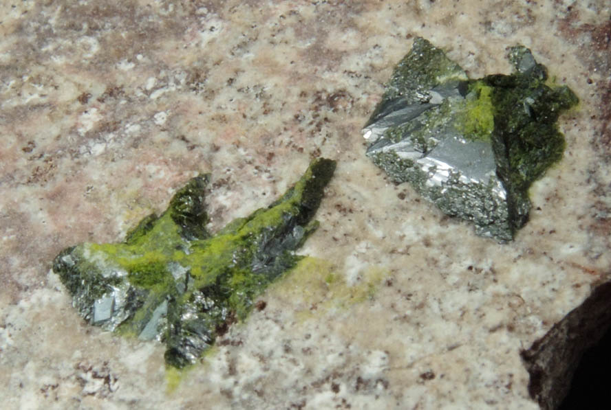 Volborthite from Milpillas Mine, Cuitaca, Sonora, Mexico