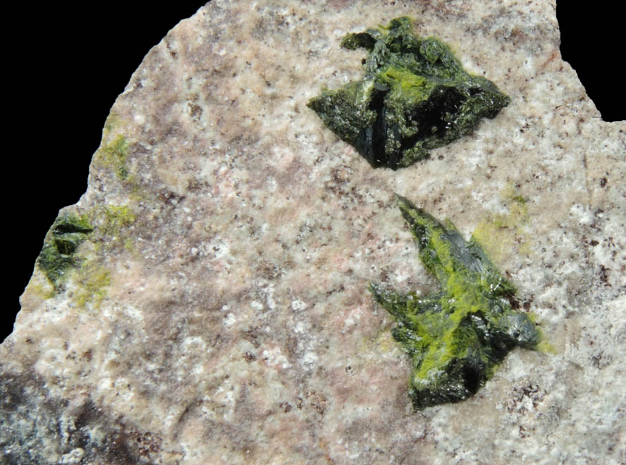 Volborthite from Milpillas Mine, Cuitaca, Sonora, Mexico