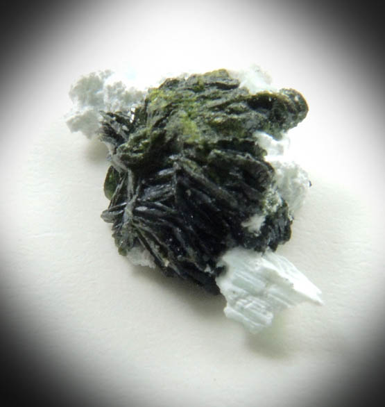 Volborthite from Milpillas Mine, Cuitaca, Sonora, Mexico