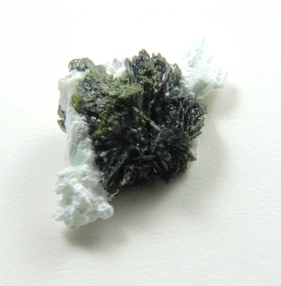 Volborthite from Milpillas Mine, Cuitaca, Sonora, Mexico