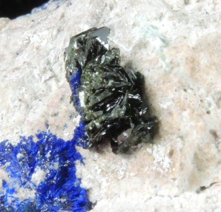 Volborthite with Azurite from Milpillas Mine, Cuitaca, Sonora, Mexico