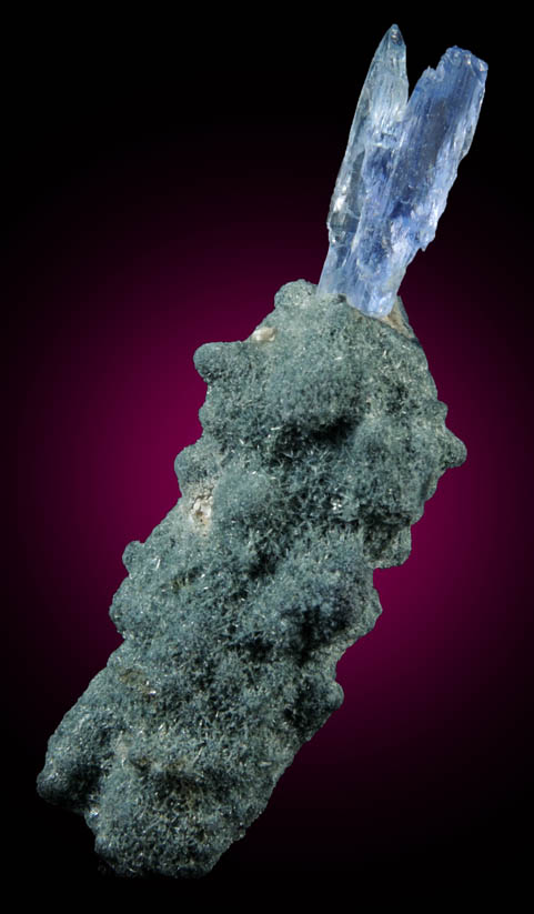 Jeremejevite in Foitite-Elbaite Tourmaline from Ameib Farm, Usakos, NE of Swakopmund, Erongo Region, Namibia