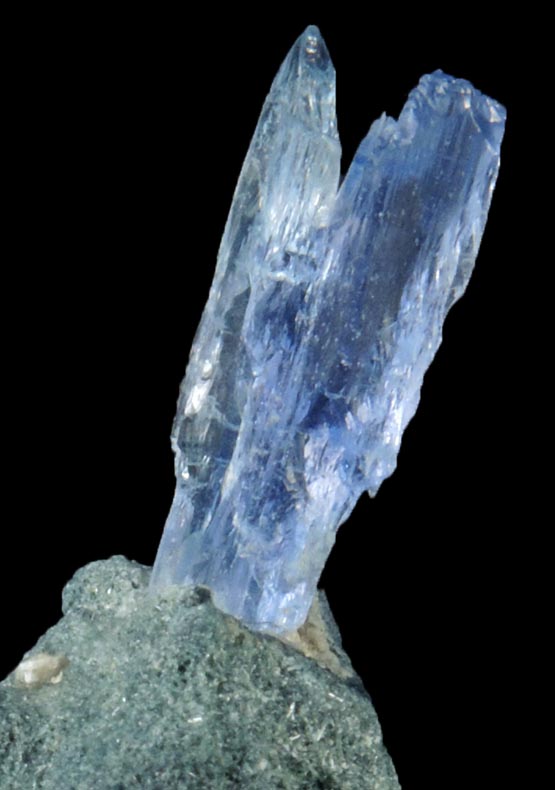 Jeremejevite in Foitite-Elbaite Tourmaline from Ameib Farm, Usakos, NE of Swakopmund, Erongo Region, Namibia