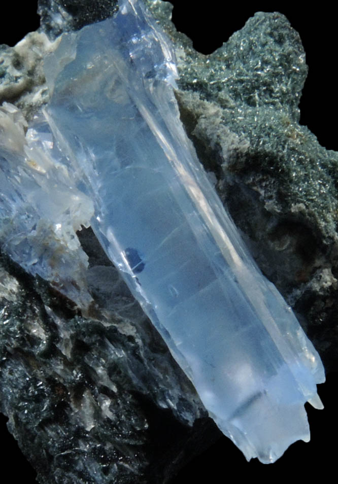 Jeremejevite in Foitite-Elbaite Tourmaline from Ameib Farm, Usakos, NE of Swakopmund, Erongo Region, Namibia